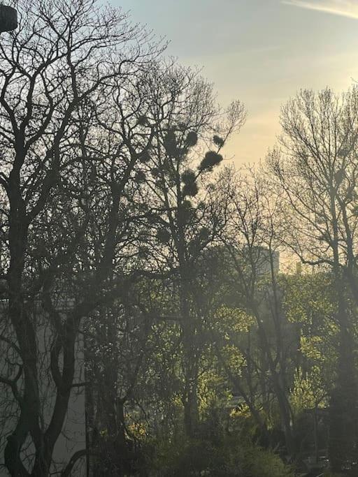 Stilvolles Augarten Refugium 维也纳 外观 照片